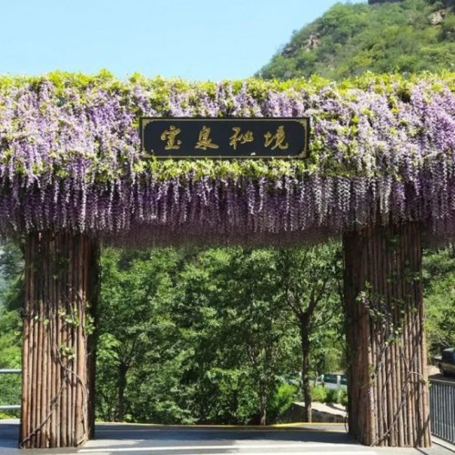 宝泉一路风景，伴我同行