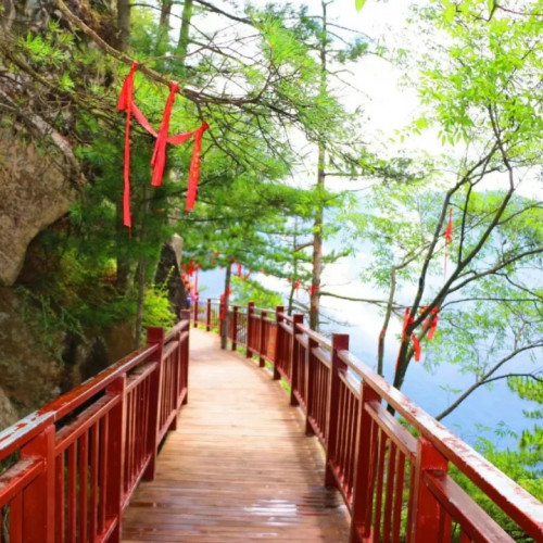 了解秦岭野生动植物生活习性，在红河谷来一场涨知识的旅行