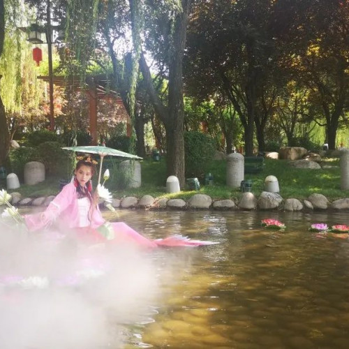 大唐芙蓉园的精彩从未断开链接