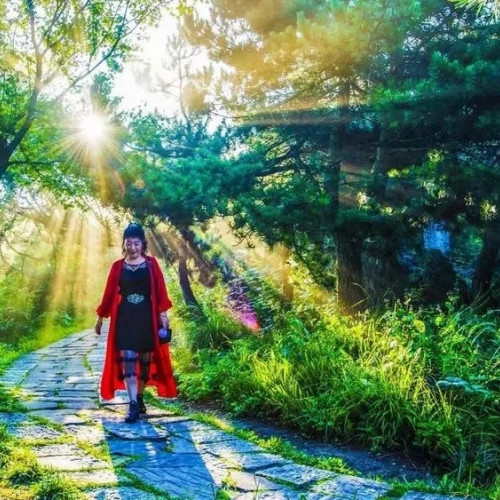 在王莽岭宁静的山林，如入桃花源一般幽静美好