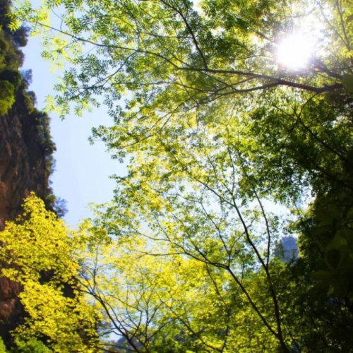 秦岭醉美金丝峡，湖光山色甲天下
