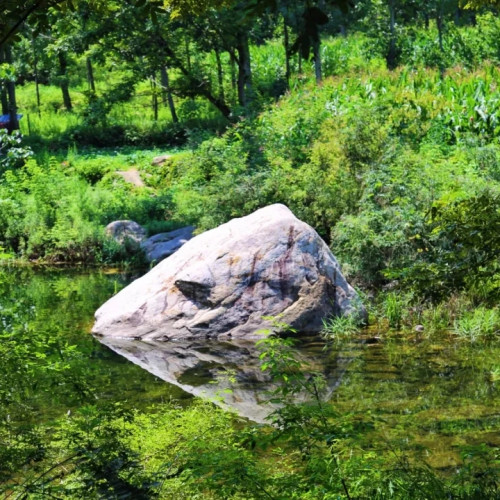 走进九龙瀑布群，寄情山水纵情欢乐，醇享清凉夏日的无限美好