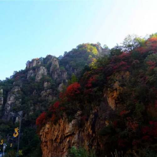 老君山最美的秋天，仙山秋韵五彩尽染