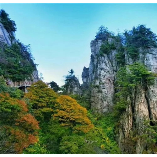 老君山正在用画笔勾勒浓墨重彩的色彩世界