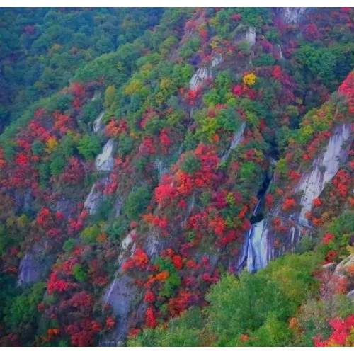 秋已至，老君山上被大自然打翻了调色盘