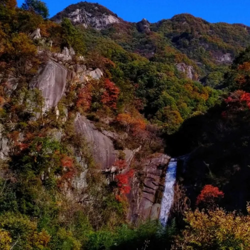 当金秋遇见鸡冠洞，整个山谷都变成了五彩斑斓的童话