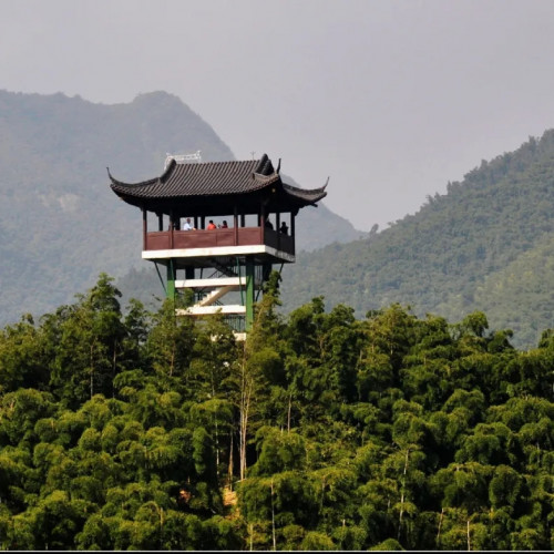 这个重阳节，我们相约大竹海登山望高吧