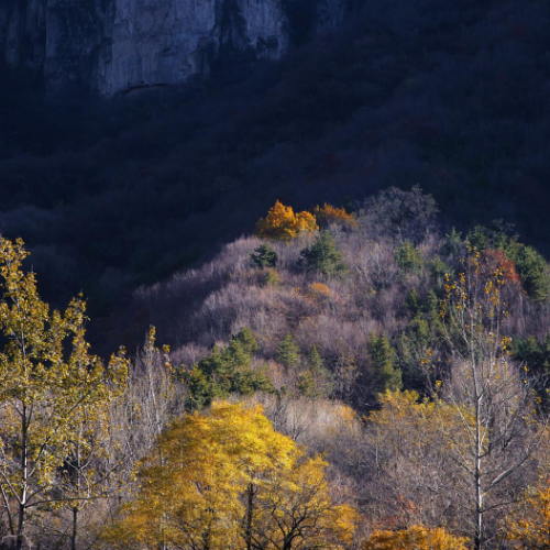 去太行大峡谷用身心感受“深秋的韵味，深秋的色彩”