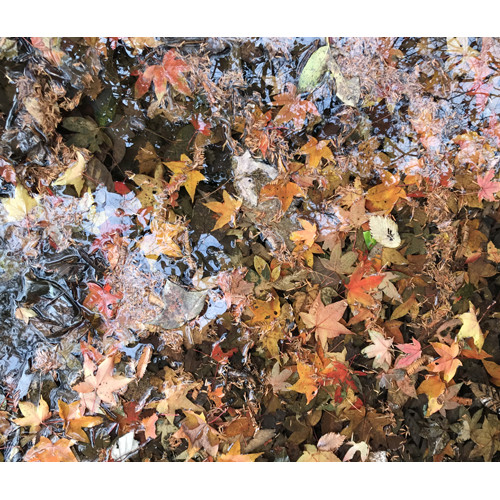 来信阳灵山风景区品味深秋的气息与美艳吧