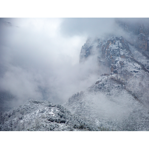层林尽染，是太行大峡谷的秋天最引以为傲的风景
