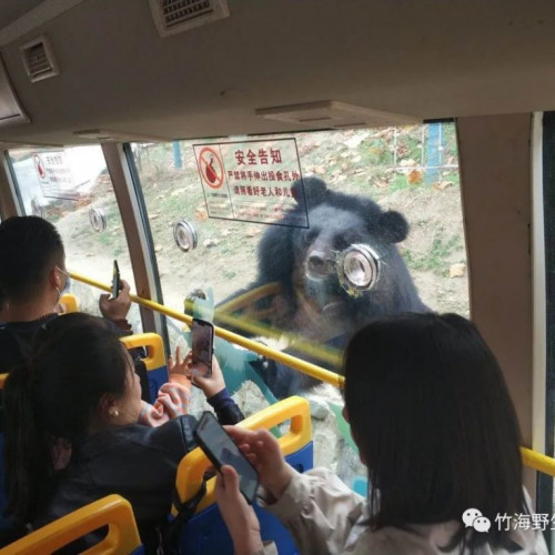 在风景秀丽的栾川竹海野生动物园，与各种动物来一次亲切遇见