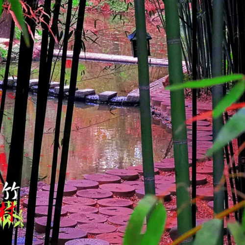 竹泉村·红石寨菊花节两款门票钜惠套餐上线