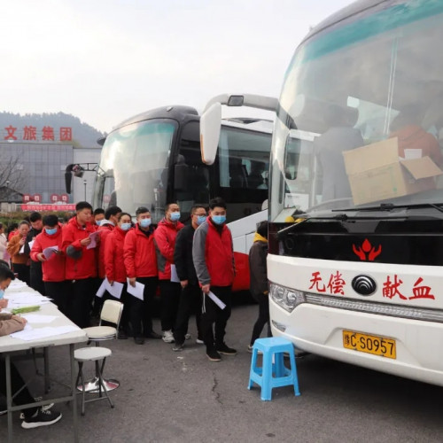 老君山文旅集团组织全体职工开展了无偿献血活动