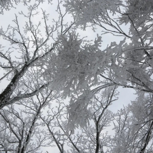 雪后老君山仿佛进入了一个水墨丹青的侠客世界