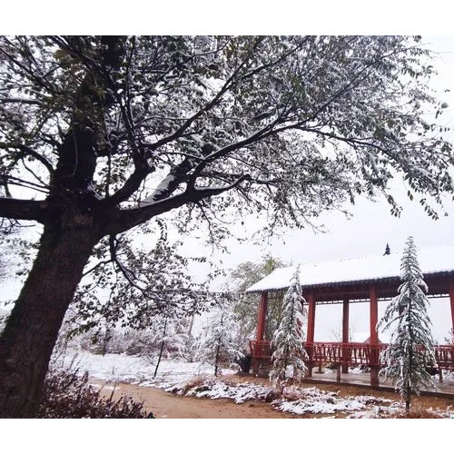 雪后的东寨黄河观景台，宛如水墨画