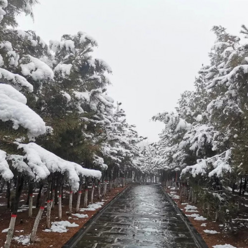 雪落仙湖，魅力无限，快来九女仙湖撒个欢儿