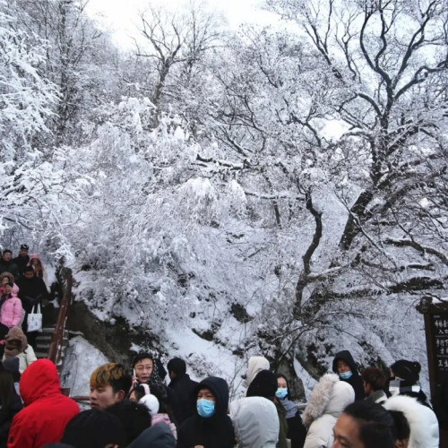 冬季的老君山，仿佛突然开启了仙境模式