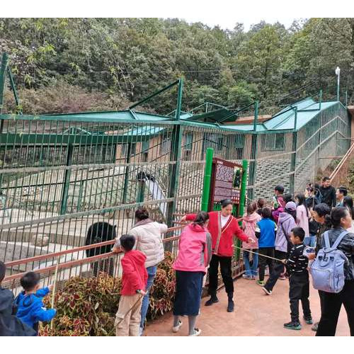 来栾川竹海野生动物园，感受动物世界的新奇