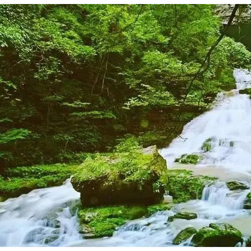 圣诞节游玩九路寨生态旅游区精彩纷呈