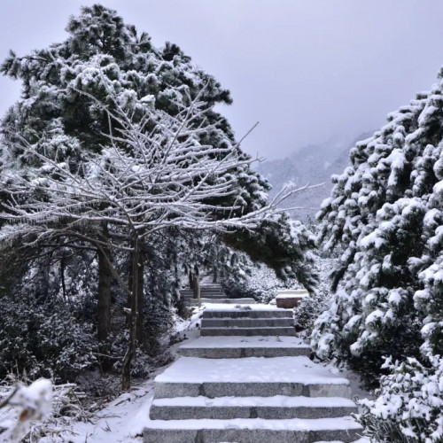 一睹龟峰山雪中美景，共赴一场冬日芳华