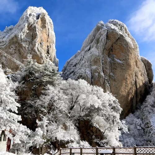 老君山景区：今日小寒|凄凄岁暮风 翳翳经日雪