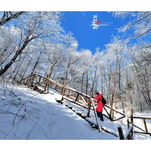 如果冬天要感受雪韵的美，那就走一回沂蒙山云蒙景区