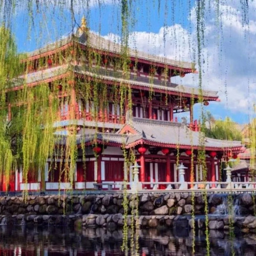 大唐芙蓉园新春点灯，我们一起守护年的温度