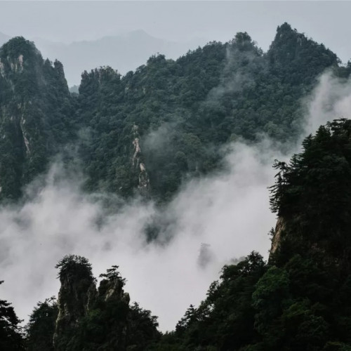 大道老君山，解读《道德经》的奥秘（七十九）