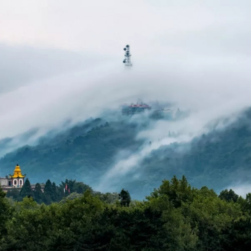 鸡公山景区把春天最明媚的风景送给你最爱的“李焕英”
