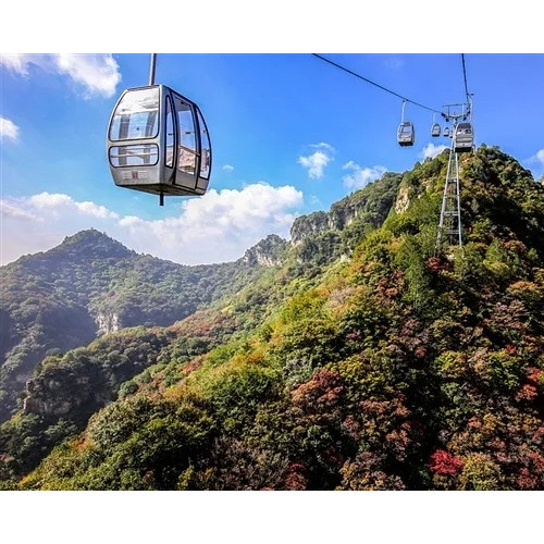 春风带来了漫山桃花，神农山期待与您的美丽邂逅！