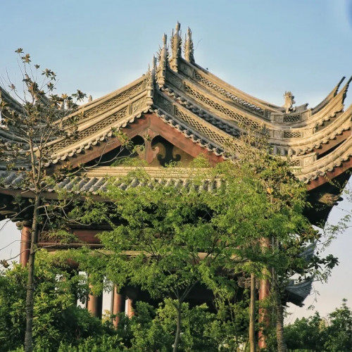 朱仙镇启封故园植树节研学活动开始啦！
