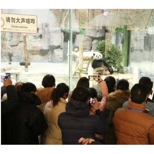 栾川竹海野生动物园：热烈祝贺临汾、汝州、长垣、商丘、洛阳五市300人旅行商踩线活动圆满成功
