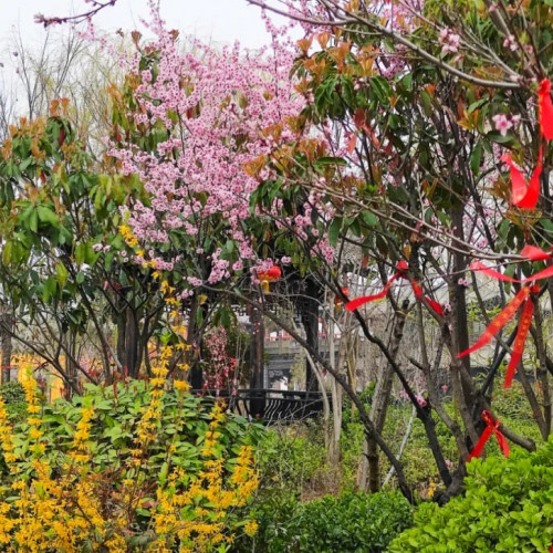 朱仙镇启封故园，十里炫彩等你来
