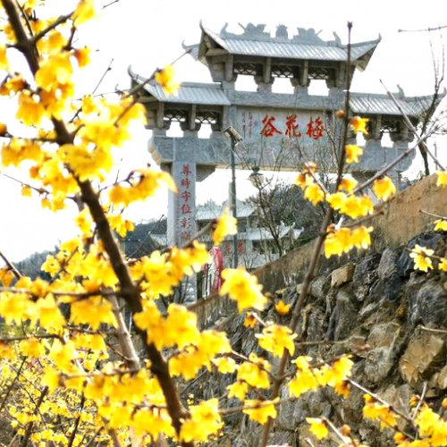 花香满径中，“踏青赏花长寿山”活动盛大开幕