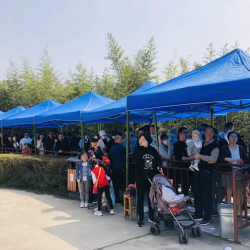 清明小长假 灵山风景区人气十足
