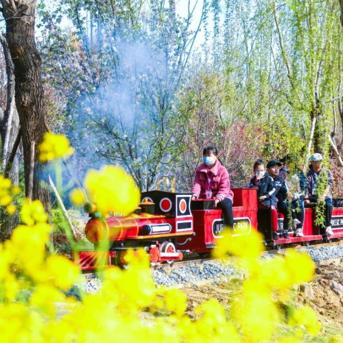 临沂龙园旅游区“侏罗纪世界”邀您一起来探险