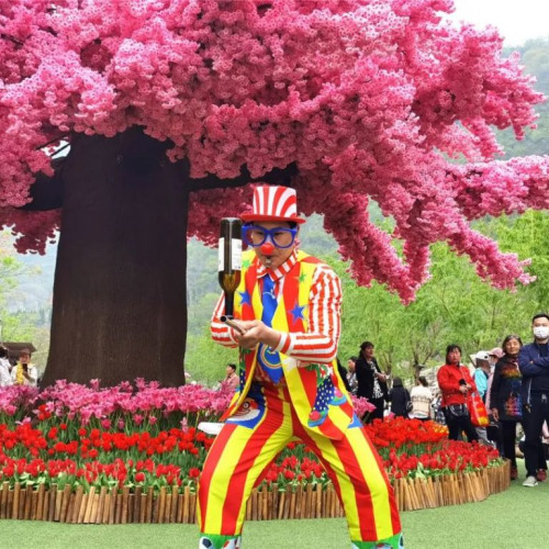 来宝泉景区踏青赏花，花海与你不见不散