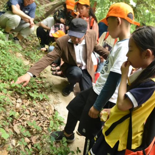 九峰山研学基地迎来数批初、高中学子前来研学旅行