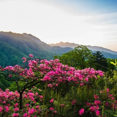 安徽天堂寨风景区，这里能满足你对旅游的所有想象！