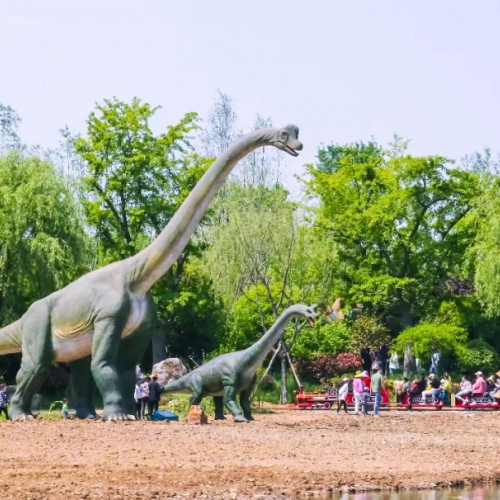 来龙园旅游区感受一场真实奇幻的恐龙之旅吧~