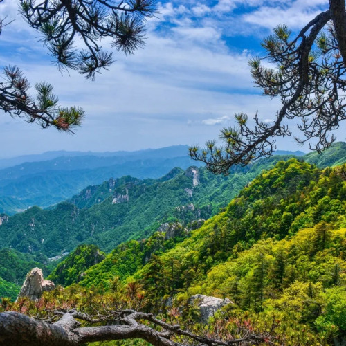 每周三定为尧山旅游日，尧山面向全国游客免门票啦