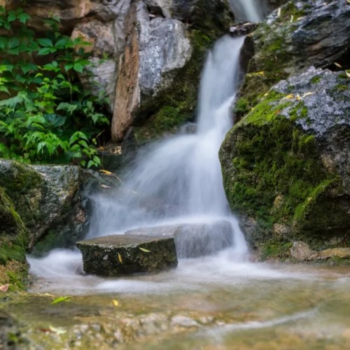 “云游”皇城相府，体验足不出户掌上云旅游的新方式