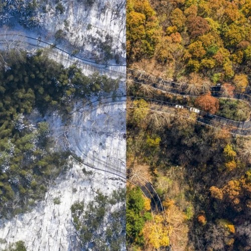 鸡公山丨疫情防控我们在行动，请放心来！