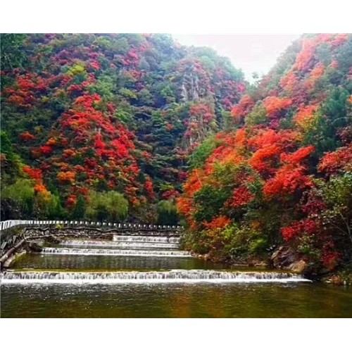 老君山景区：八月再见，九月你好！愿一切安好！