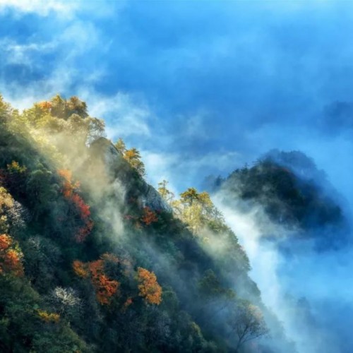 这个季节里，藏着你不知道的老君山
