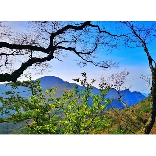 洛阳龙峪湾中秋节、国庆节盛装迎宾，期待你的光临