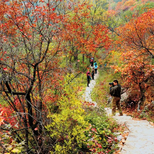 赏秋圣地丨秋色正浓，长寿山红叶即将美翻这个秋天
