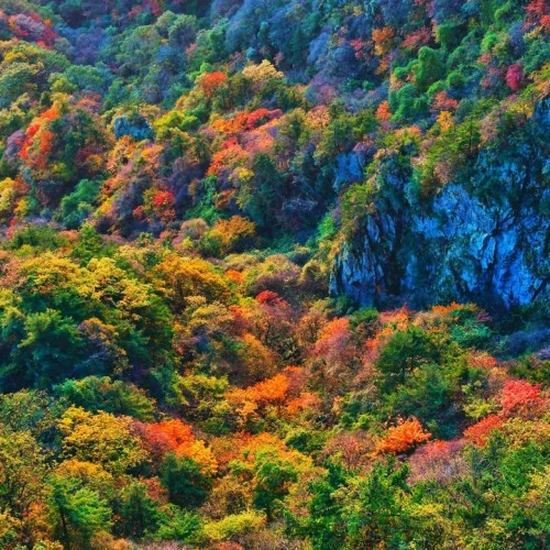 秋天的快乐，从尧山风景区的一场旅行开始