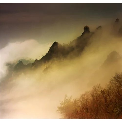 秋色渐染老君山，云海诱人如仙境！
