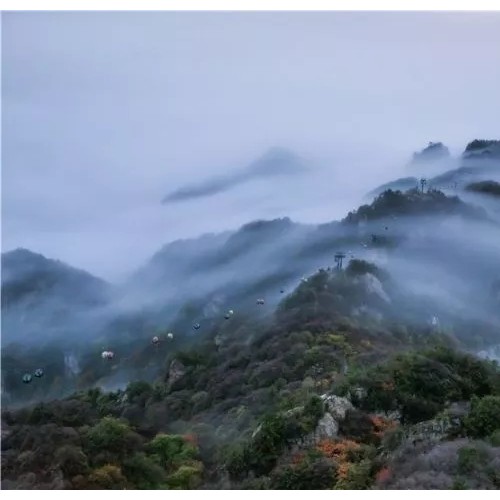 绝佳的时间，绝佳的景色，一起来老君山“看海”吧！